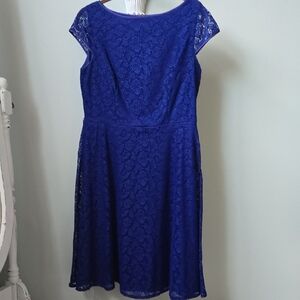 Kasper Royal Blue Lace Midi Dress